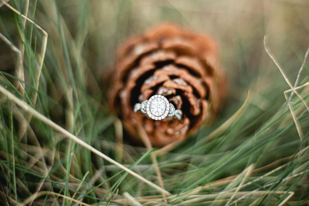 oval diamond engagement ring set on a pinecone in the grass