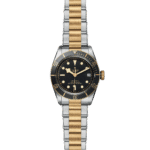 Luxurious two-tone stainless steel watch with gold accents and chronometer functionality, perfect for any occasion.