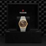 Luxurious Tudor watch in two-tone stainless steel and gold, elegantly displayed in premium packaging.