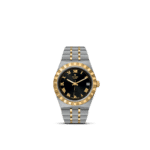 Luxurious Tudor watch with stainless steel and gold, featuring a black dial and date function.
