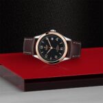 Elegant rose gold and stainless steel watch with green dial and leather strap, showcasing luxury.