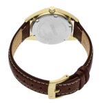 Elegant Seiko watch with gold-tone case and brown leather strap, showcasing luxury and craftsmanship.