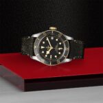 Elegant Tudor watch with black dial, gold accents, and leather strap on vibrant display.