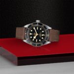 Elegant stainless steel dive watch with black dial and brown leather strap on red platform.