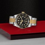 Tudor luxury diver watch with gold accents on a stylish two-tone bracelet against a textured backdrop.