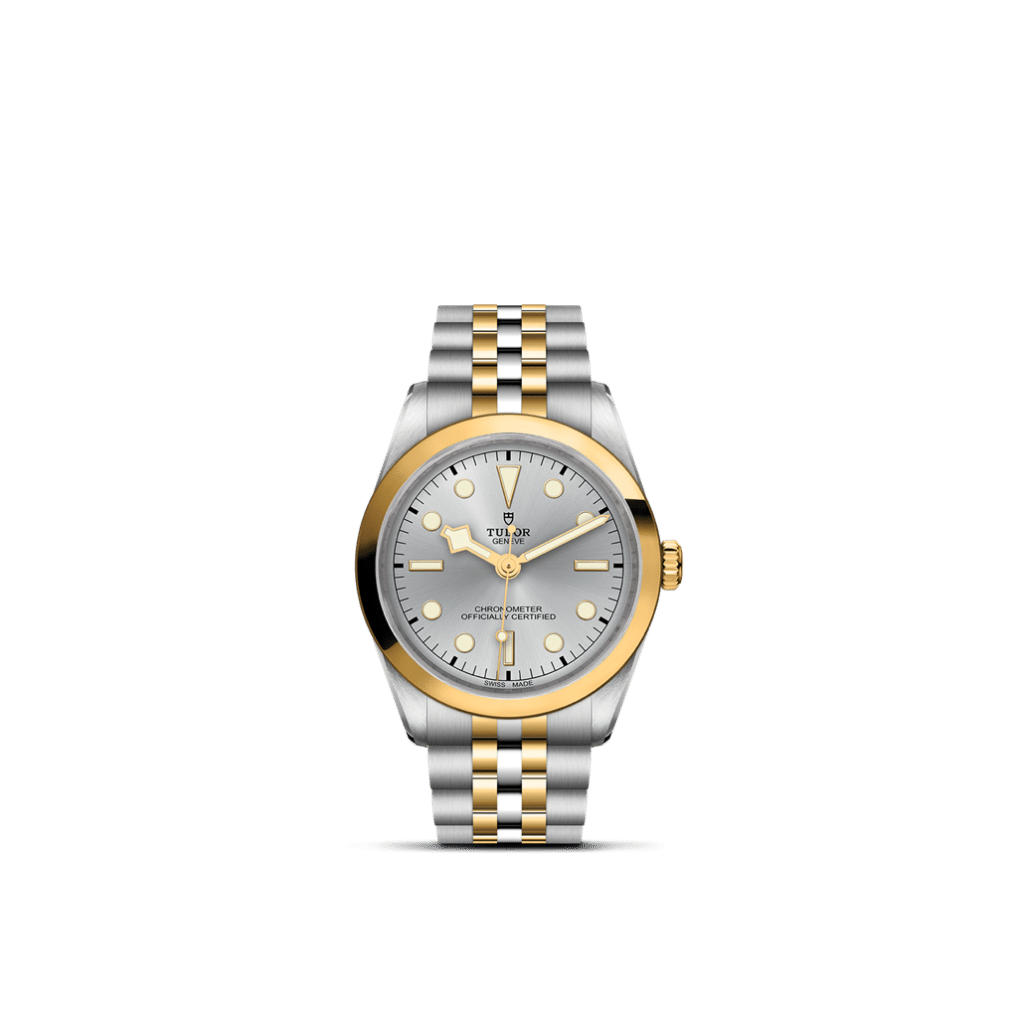 Elegant Tudor watch featuring a silver and gold design, perfect for luxury timepiece enthusiasts.