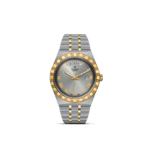 Luxurious Tudor watch with stainless steel, gold accents, Roman numerals, and date display.