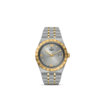 Luxurious Tudor two-tone watch showcasing elegance and craftsmanship with gold and stainless steel design.