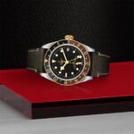 Stylish Tudor watch with stainless steel, gold accents, and leather strap on a modern backdrop.