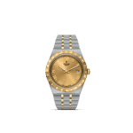 Luxury Tudor watch in stainless steel and gold with champagne dial and Roman numerals.