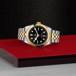 Luxurious stainless steel and gold watch on a dramatic red display background.