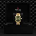 Elegant Tudor watch with green dial in luxurious black presentation box, perfect for collectors.