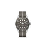 Tudor dive watch featuring stainless steel case, gray dial, and durable textile strap.