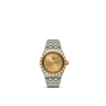 Luxurious Tudor watch featuring stainless steel, gold accents, and classic Roman numeral design.