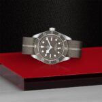 Luxurious Tudor watch with rugged design on a vibrant background, showcasing elegance and functionality.