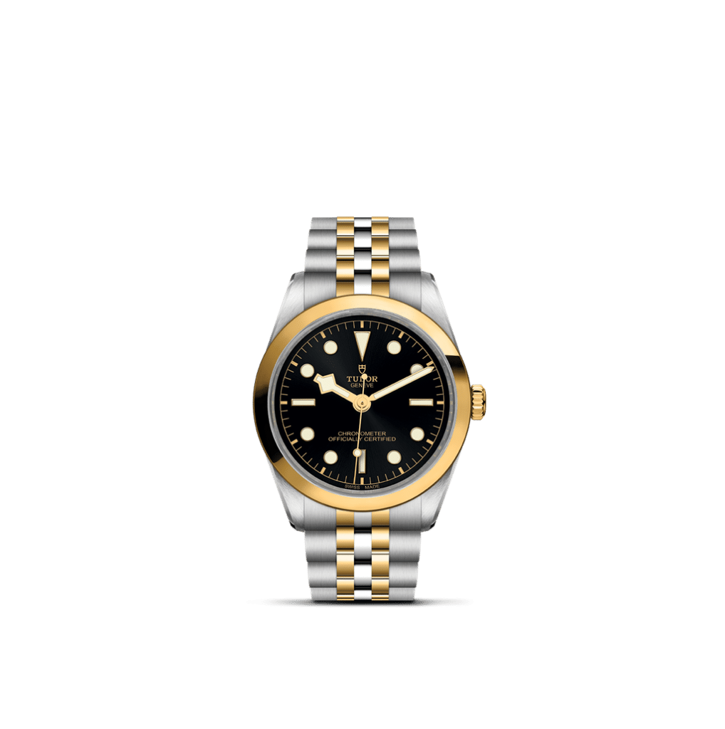 Luxurious Tudor watch featuring a black dial and two-tone gold and stainless steel bracelet.