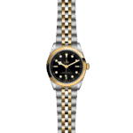 Luxurious Tudor watch with gold and stainless steel, showcasing elegance and precision.