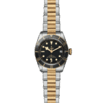 Tudor two-tone dive watch features a black dial, gold accents, and robust stainless steel case.