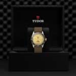 Tudor luxury watch in elegant box with golden dial and olive-green fabric strap.