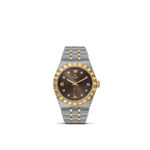 Tudor luxury watch with dual-tone bracelet, brown dial, gold accents, and Roman numeral markers.