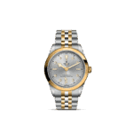 Elegant two-tone stainless steel watch with gold accents, showcasing luxury and functionality.