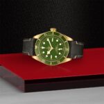Luxurious dive watch with green dial, gold bezel, and leather strap, perfect for adventurers.