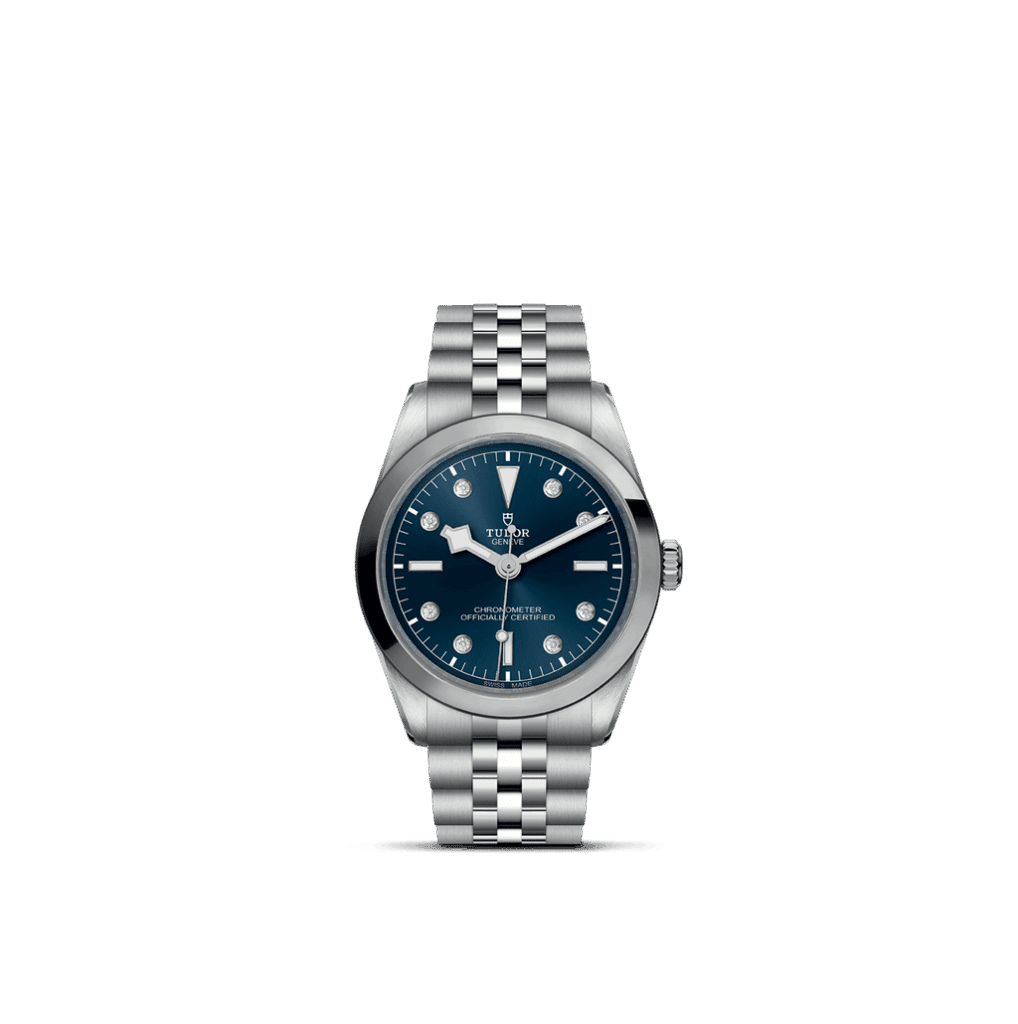 Tudor stainless steel watch with blue dial, luminous markers, and classic link bracelet.
