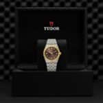Elegant two-tone Tudor watch in luxurious box with brown dial and gold accents.