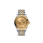 Luxurious Tudor watch with gold accents, stainless steel case, and elegant two-tone bracelet design.