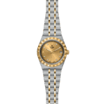 Tudor gold and silver watch, luxury timepiece with elegant design and practical features.
