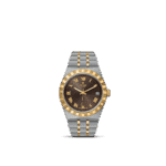 Elegant Tudor watch featuring a stainless steel and gold design with a rich brown dial.