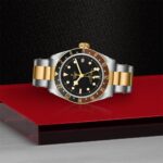 Luxury stainless steel watch with gold accents, black dial, and elegant design displayed on red platform.