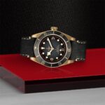 Elegant bronze watch with black dial, leather strap, and sporty design on striking background.