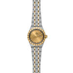 Luxurious two-tone stainless steel and gold watch with diamond markers and elegant design.