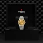 Luxurious Tudor watch in elegant packaging, showcasing gold and steel craftsmanship and timeless design.