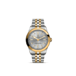 Luxurious Tudor watch with gold accents, a silver dial, and a two-tone bracelet design.