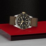 Stylish stainless steel wristwatch with black dial and brown fabric strap on vibrant backdrop.