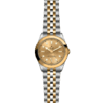 Elegant Tudor watch with gold dial and two-tone bracelet, showcasing luxury and precision craftsmanship.