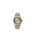Luxury Tudor watch in stainless steel and gold with Roman numerals and elegant gray dial.