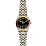 Luxury Tudor watch with black dial, gold bezel, and dual-tone bracelet for timeless elegance.