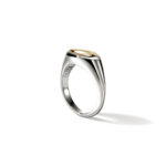 Elegant silver ring with gold oval stone, blending modern design and classic sophistication.