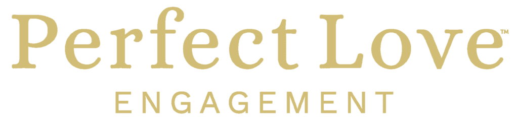 Elegant logo for Perfect Love Engagement, emphasizing romance and high-quality wedding services.
