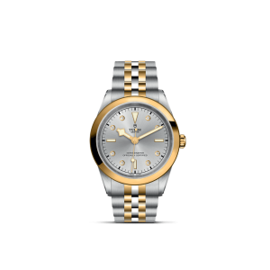 Elegant two-tone stainless steel watch with gold accents, showcasing luxury and functionality.