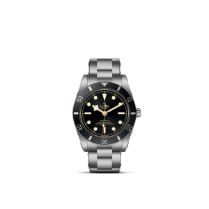 Tudor dive watch features a matte black dial, luminous markers, and stainless steel durability.