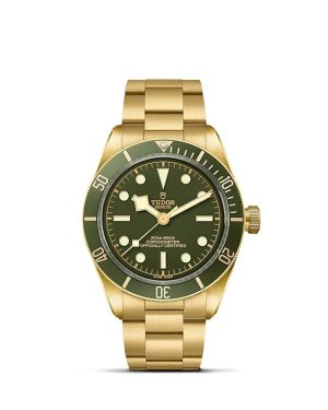Luxurious Tudor watch with green dial, gold-toned stainless steel, and diving capabilities.