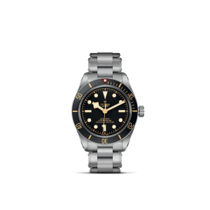 Tudor divers watch showcasing stainless steel, black ceramic bezel, and vintage-inspired luminous dial.