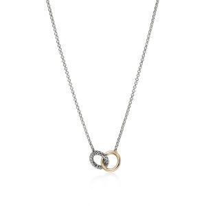 Elegant interlocking rings necklace in gold and silver tones, perfect for versatile styling.