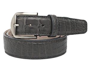 AlligatorGreyLEN-e1608572394855.jpg