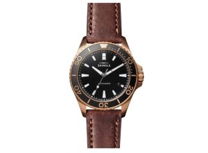 big-S0120161956