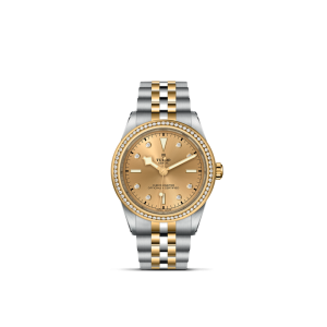 TUDOR Black Bay 39 S&G